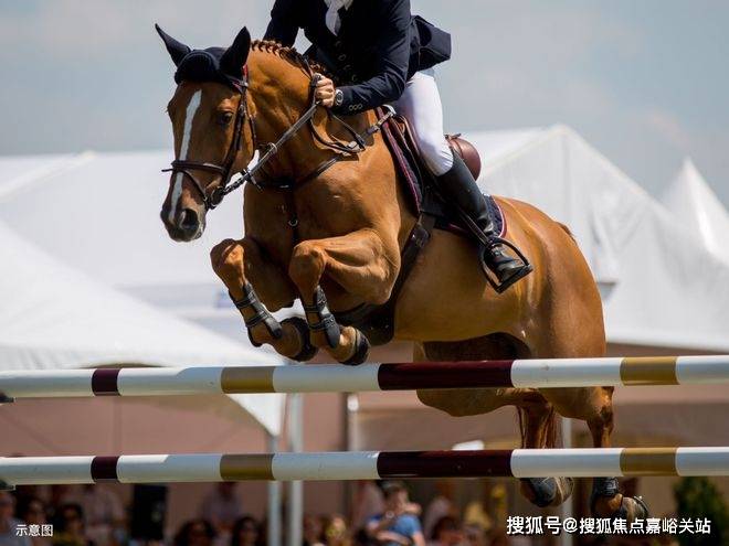 盘欢迎您-小区环境-户型-价格-地址-楼盘详情-周边配套-售楼处电话-交房时间麻